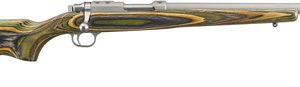 RUGER 77/17 17WSM STAINLESS