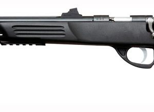 CRICKETT PISTOL 22WMR