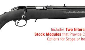 RUGER AMERICAN 22LR 10-SHOT