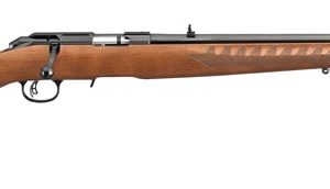 RUGER AMERICAN 22LR 10-SHOT