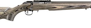 RUGER AMERICAN 22LR 10-SHOT