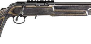 RUGER AMERICAN TARGET 22LR