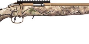 RUGER AMERICAN 17HMR BRONZE