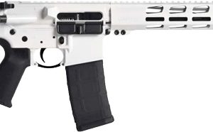 RUGER AR556 MPR 223 30-SHOT