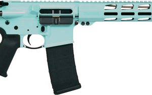 RUGER AR556 MPR 223 30-SHOT