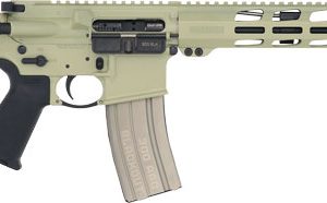 RUGER AR556 MPR 300 AAC MAGPUL