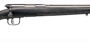 SAVAGE BMAG 17WSM 22" HB