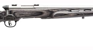SAVAGE BMAG TARGET 17WSM 22"