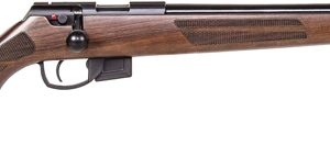 ANSCHUTZ 1761 D HB 17HMR