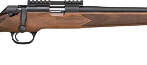 SPRINGFIELD 2020 RIMFIRE 22LR