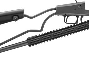 CHIAPPA BIG BADGER 30-30 WIN