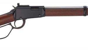 HENRY SMALL GAME CARB 22WMR