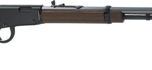 HENRY FRONTIER 22WMR