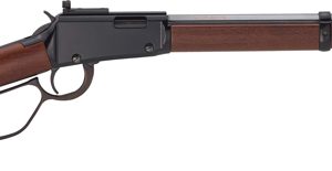 HENRY SMALL GAME 22S/L/LR