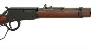 HENRY FRONTIER 17HMR 20" OCT-