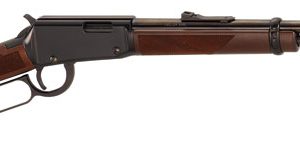 HENRY VARMINT EXPRESS 17HMR