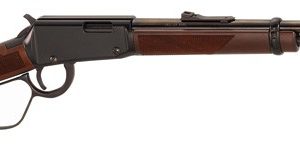 HENRY VARMINT EXPRESS 17HMR