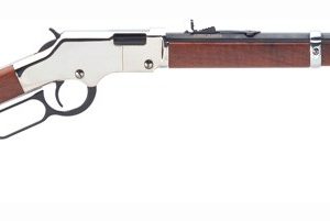 HENRY GOLDEN BOY SILVER 22WMR