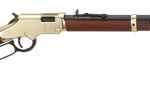 HENRY GOLDENBOY 22S/L/LR