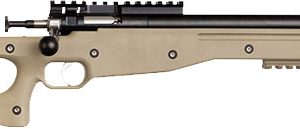 CRICKETT PRECISION RIFLE 22LR