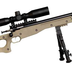 CRICKETT PRECISION RIFLE 22LR