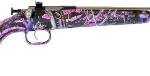 CRICKETT RIFLE G2 22LR