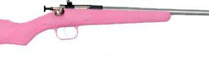 CRICKETT RIFLE G2 22LR