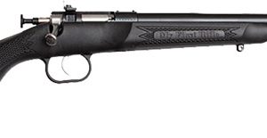 CRICKETT RIFLE G2 22LR