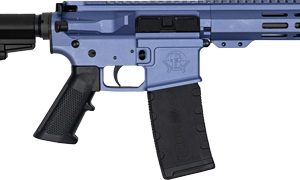 GLFA AR15 PISTOL W/BRACE 223