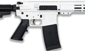 GLFA AR15 PISTOL W/BRACE 223