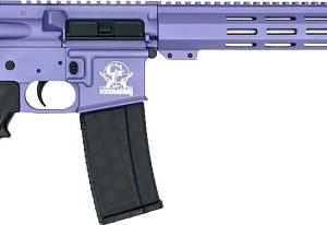 GLFA AR15 RIFLE 223 WYLDE