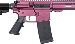 GLFA AR15 PISTOL W/BRACE 223