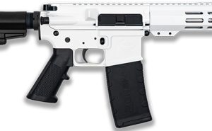GLFA AR15 PISTOL W/BRACE 223