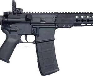 ARMALITE M-15 TACTICAL RIFLE