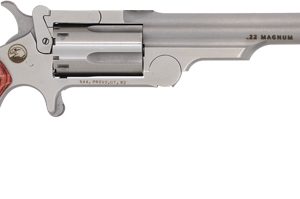 NAA MINI-REVOLVER 22LR/22WMR