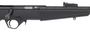 ROSSI RB22 COMPACT 22LR BOLT