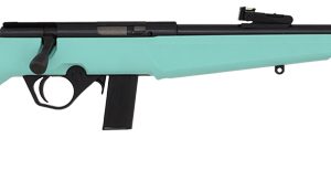 ROSSI RB22 COMPACT 22LR BOLT
