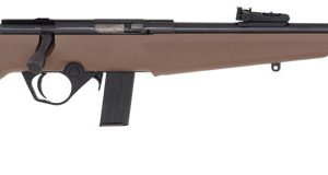 ROSSI RB22 COMPACT 22LR BOLT