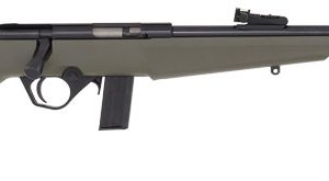 ROSSI RB22 COMPACT 22LR BOLT