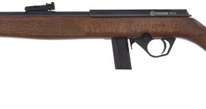 ROSSI RB22 22LR RIFLE BOLT