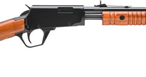 ROSSI GALLERY 22WMR PUMP