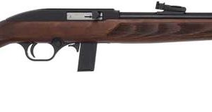 ROSSI RS22 22LR RIFLE SEMI