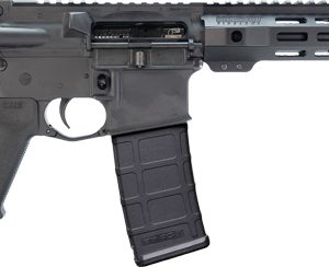 BUSHMASTER BRAVO ZULU PISTOL