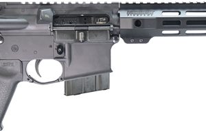 BUSHMASTER BRAVO ZULU PISTOL