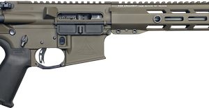 RISE WATCHMAN XR AR-15 RIFLE