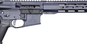 RISE WATCHMAN XR AR-15 RIFLE