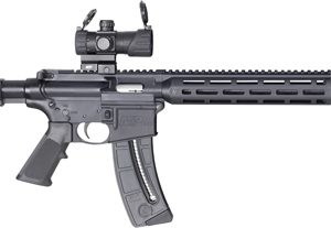 S&W M&P15-22 SPORT OR 22LR